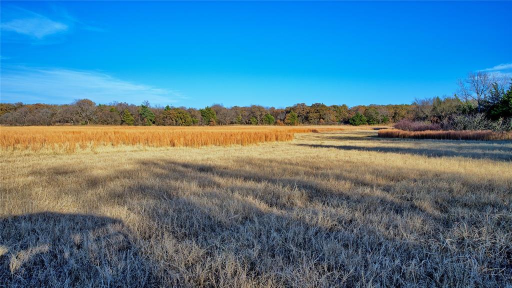 Tbd Fm 373 Property Photo 17