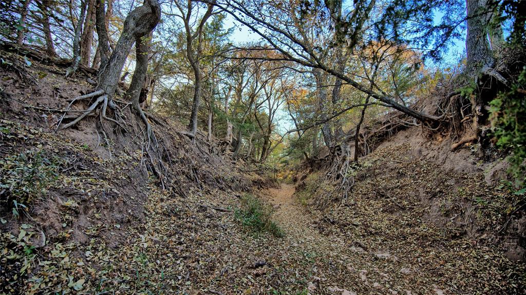 Tbd Fm 373 Property Photo 29