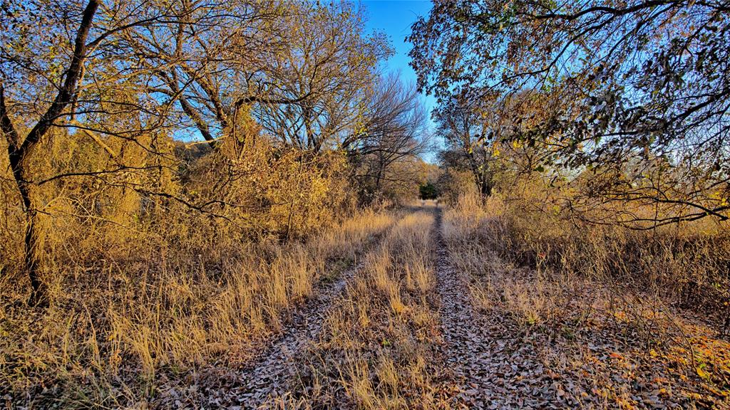 Tbd Fm 373 Property Photo 31