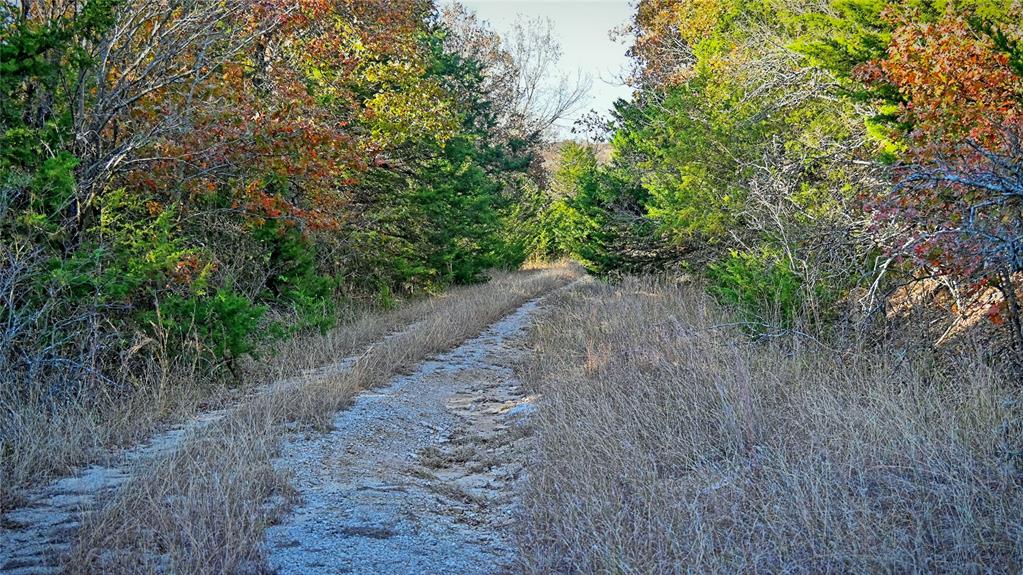 Tbd Fm 373 Property Photo 37