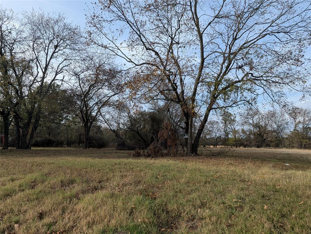 815 Seven Oaks Road Property Photo 4