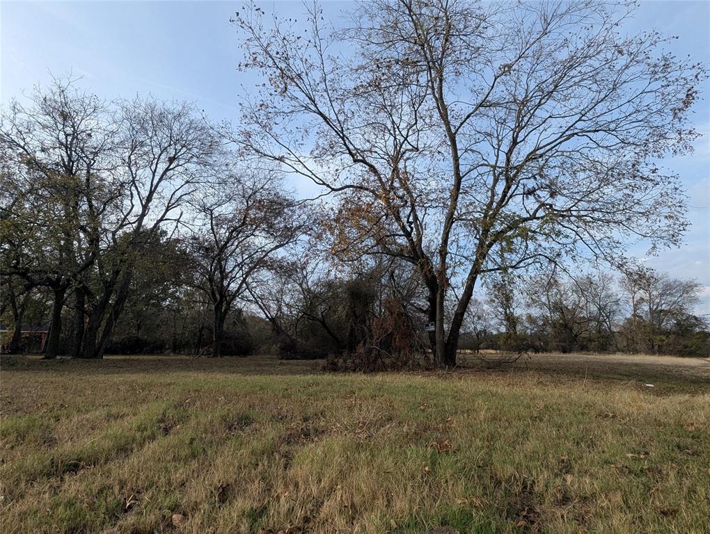 815 Seven Oaks Road Property Photo 5