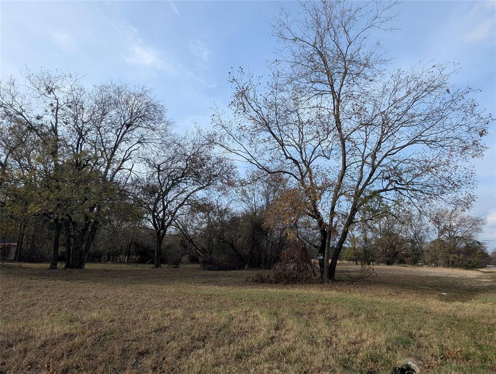 815 Seven Oaks Road Property Photo 10