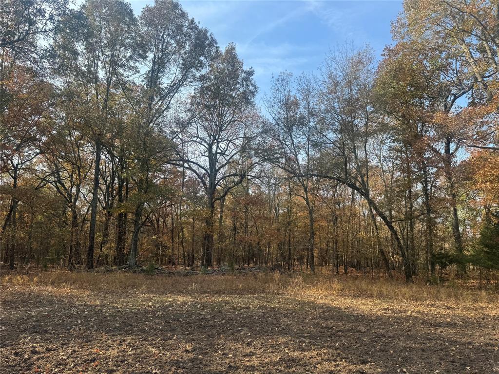 000 Fm 44 Property Photo 3