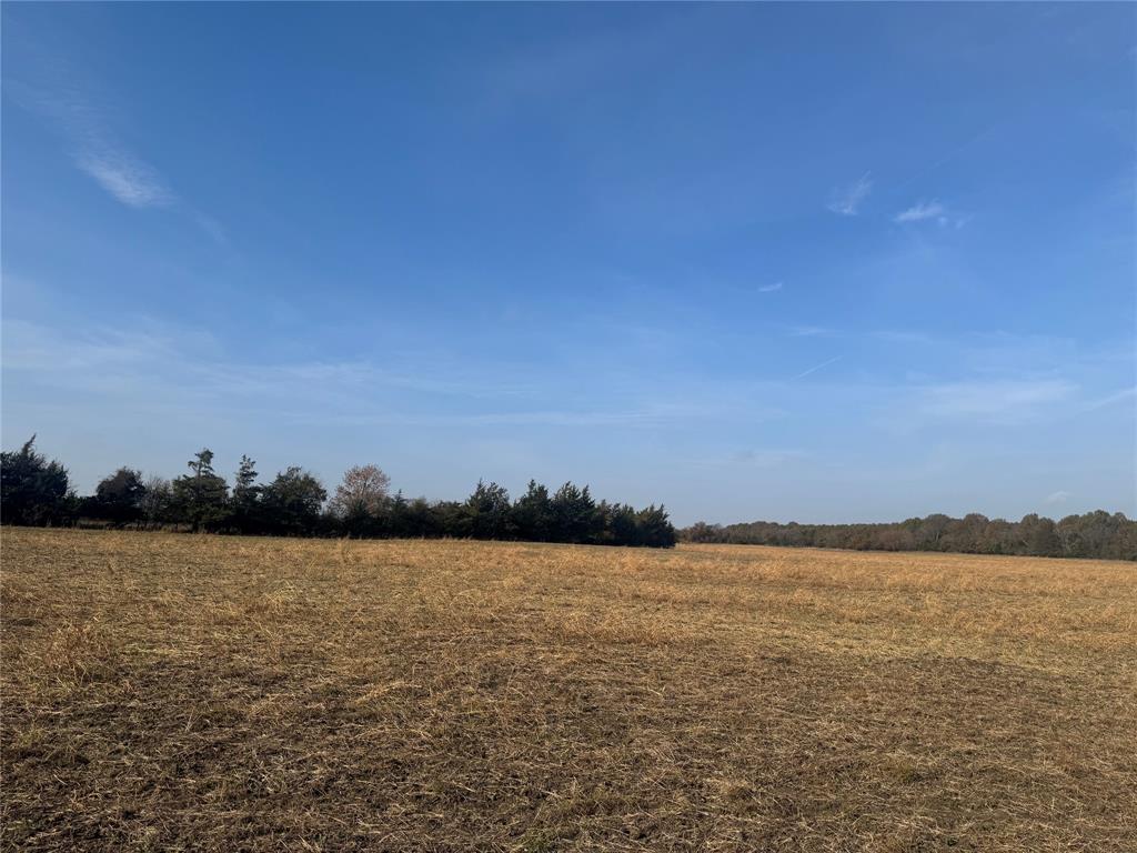 000 Fm 44 Property Photo 8