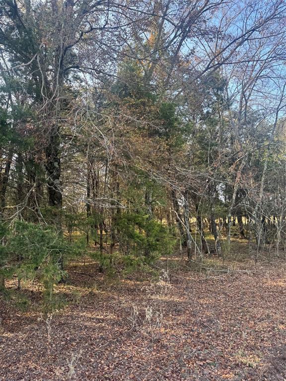 000 Fm 44 Property Photo 13
