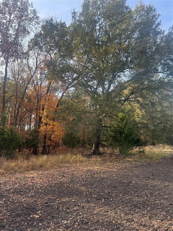 000 Fm 44 Property Photo 14