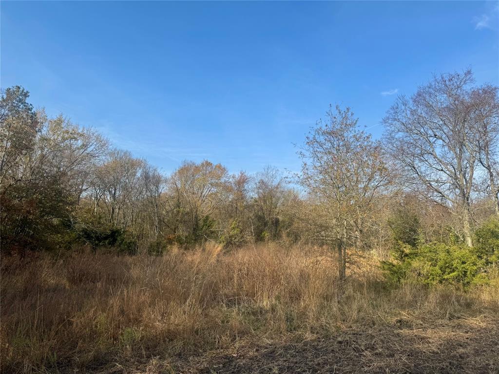 000 Fm 44 Property Photo 15