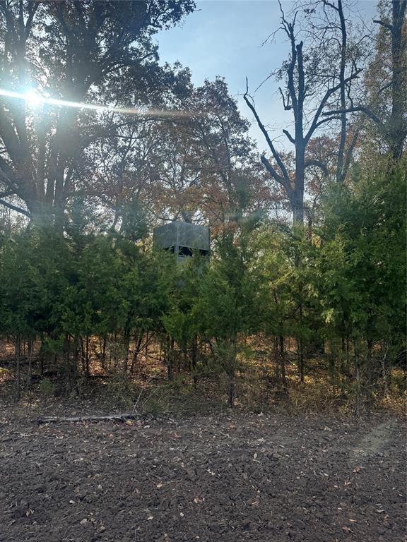 000 Fm 44 Property Photo 16