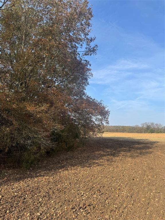 000 Fm 44 Property Photo 17