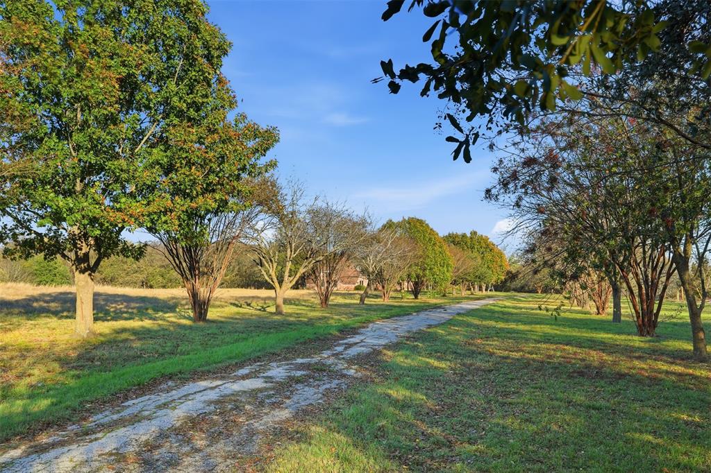 4581 County Road 2624 Property Photo 8