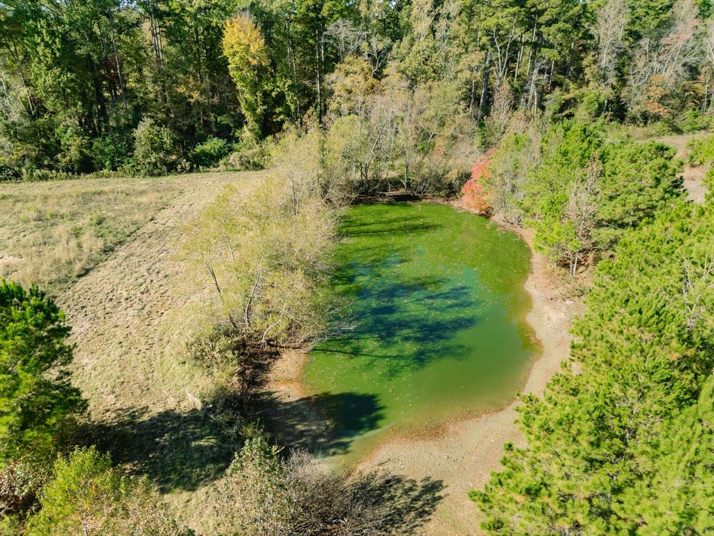 7697 N State Hwy 155 Property Photo 3