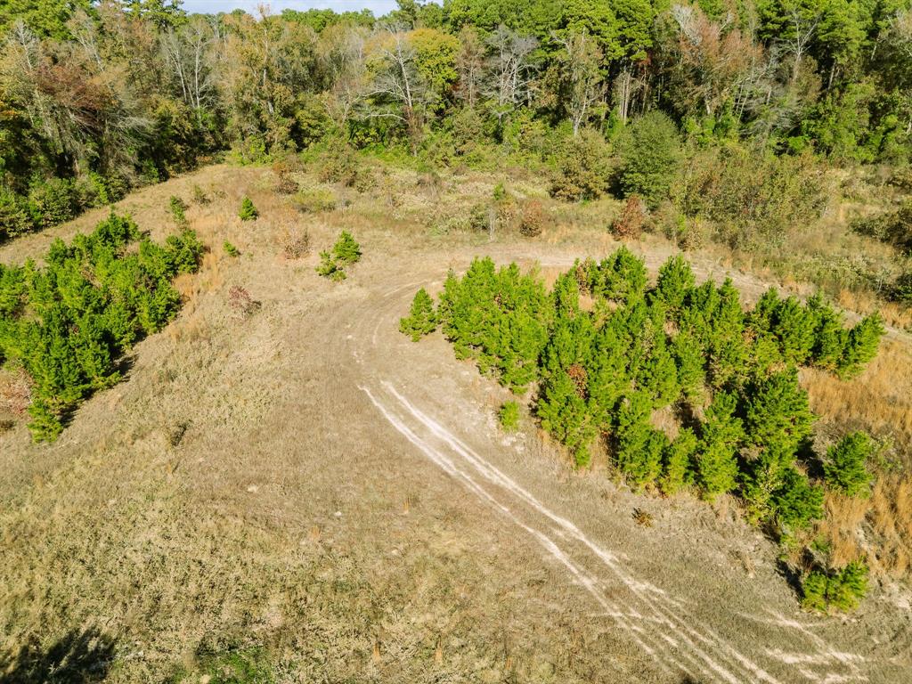 7697 N State Hwy 155 Property Photo 4