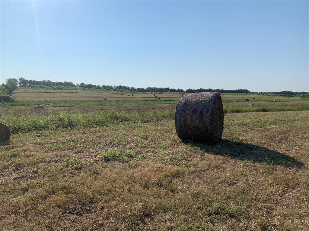 17560 E Fm 1396 Property Photo 8
