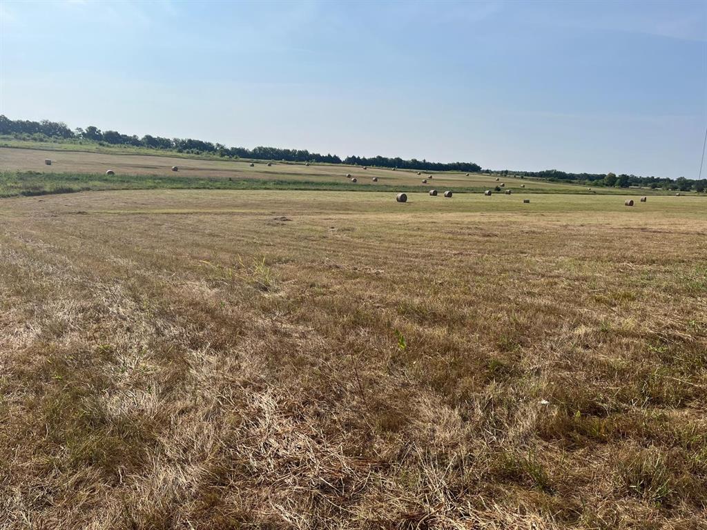 17560 E Fm 1396 Property Photo 9