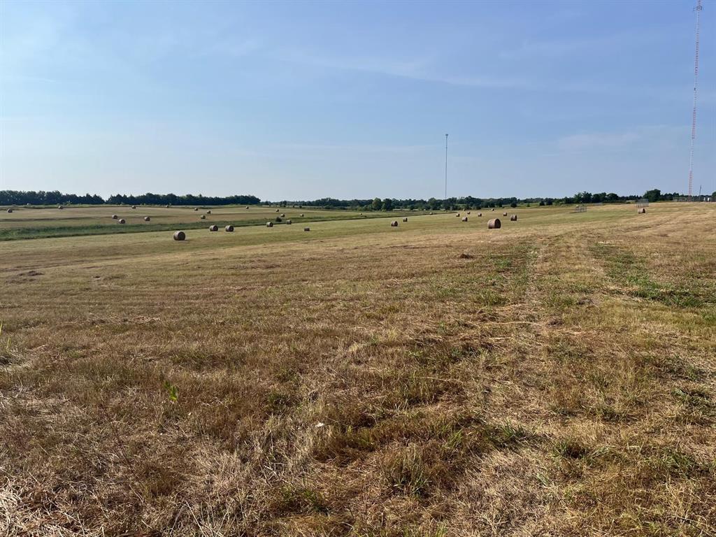 17560 E Fm 1396 Property Photo 10