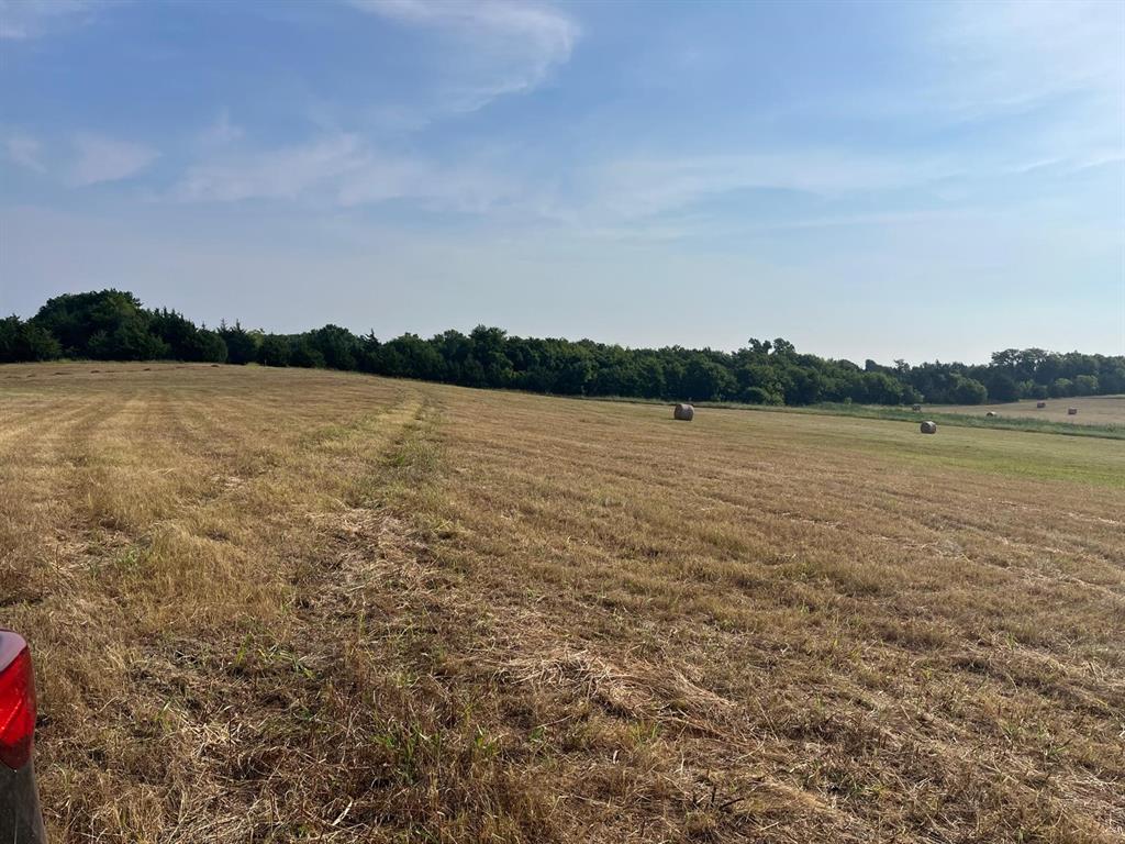17560 E Fm 1396 Property Photo 11