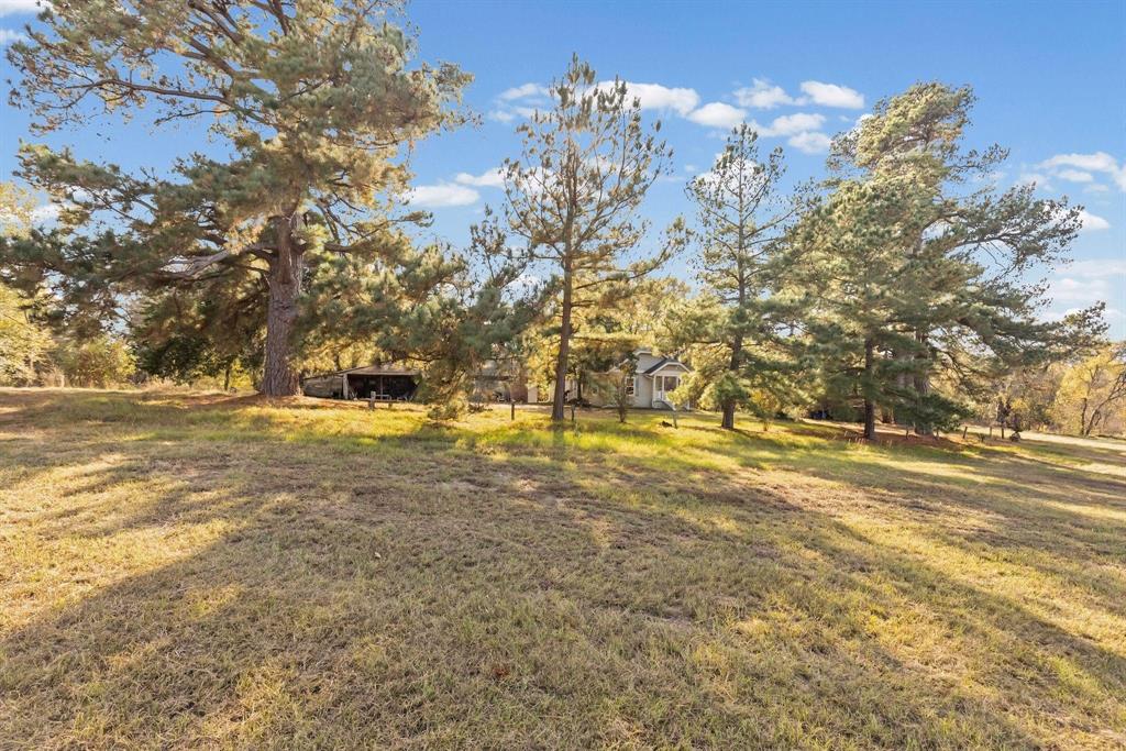 1207 State Highway 24 2 Property Photo 6