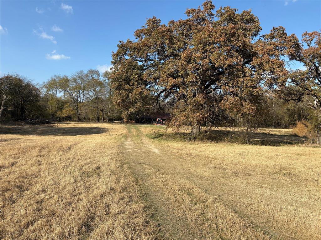 1207 State Highway 24 2 Property Photo 13