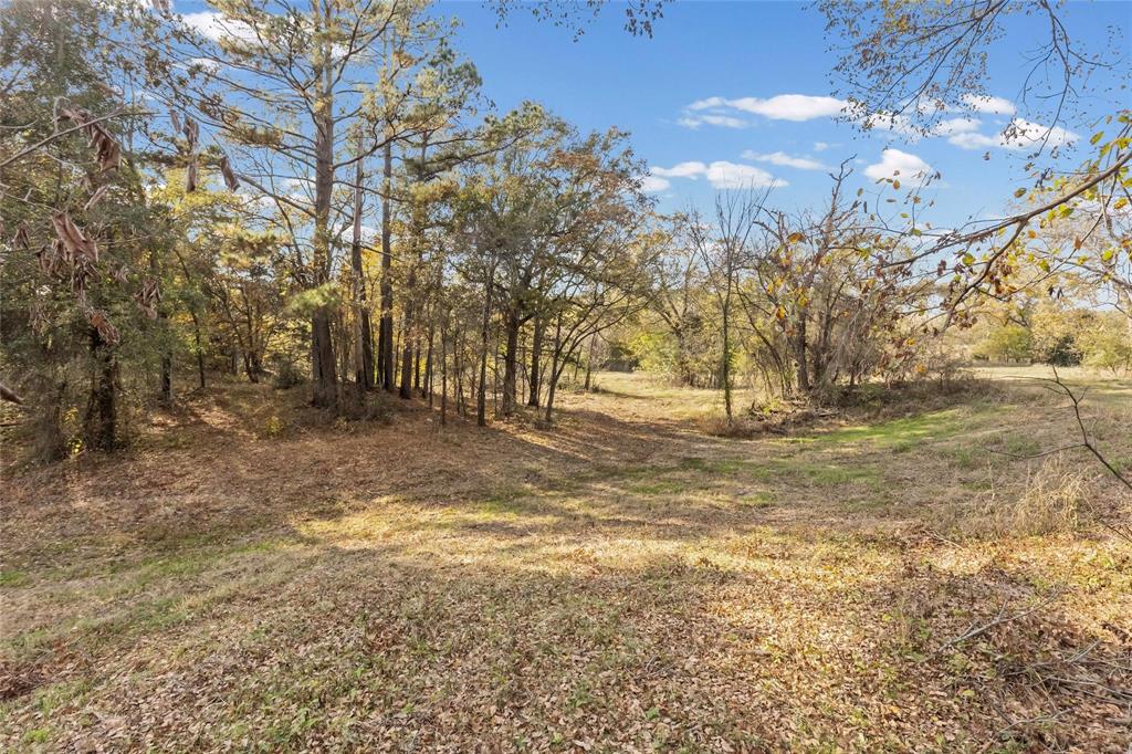 1207 State Highway 24 2 Property Photo 19