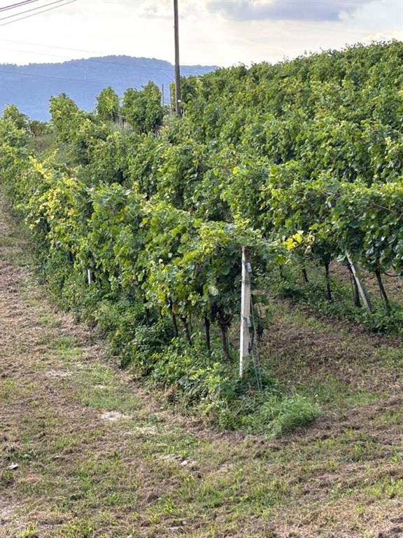 Località 2 Via Pavarana Property Photo 6