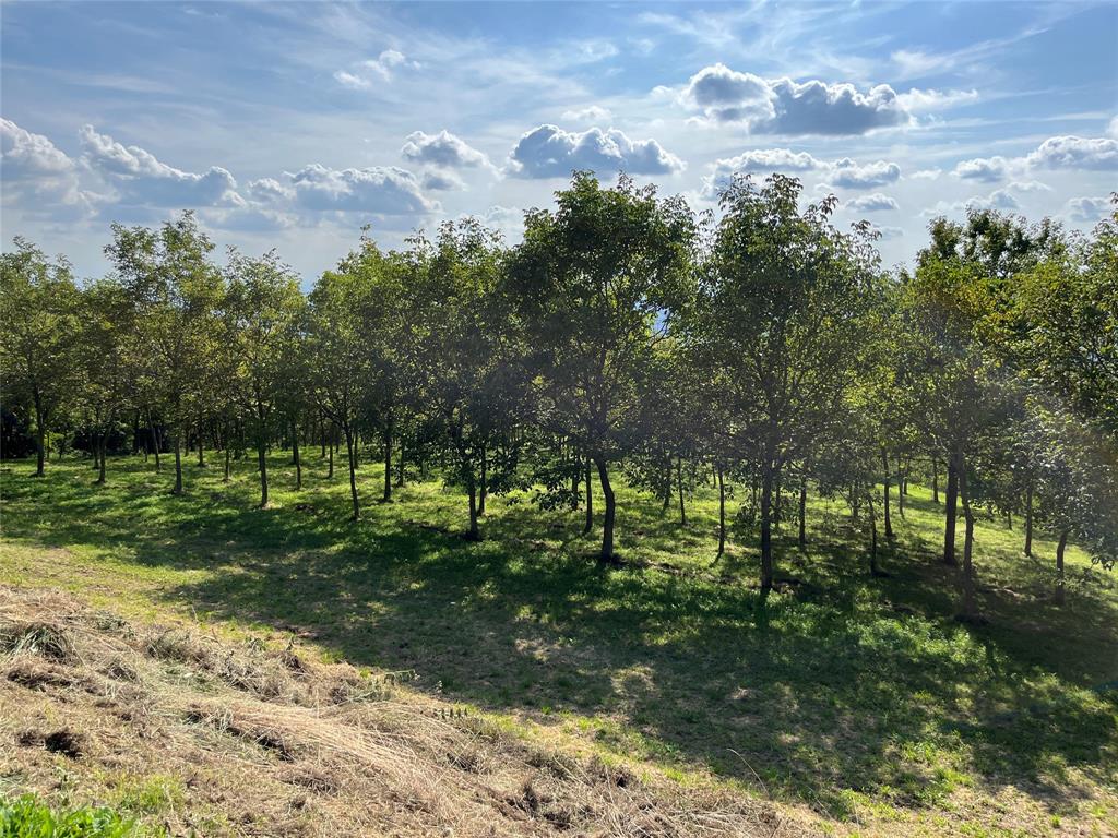 Località 2 Via Pavarana Property Photo 8