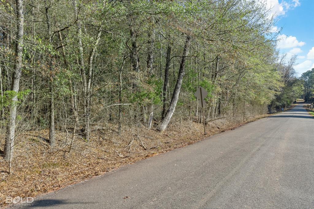 Lot 7 Mockingbird Lane Property Photo 1