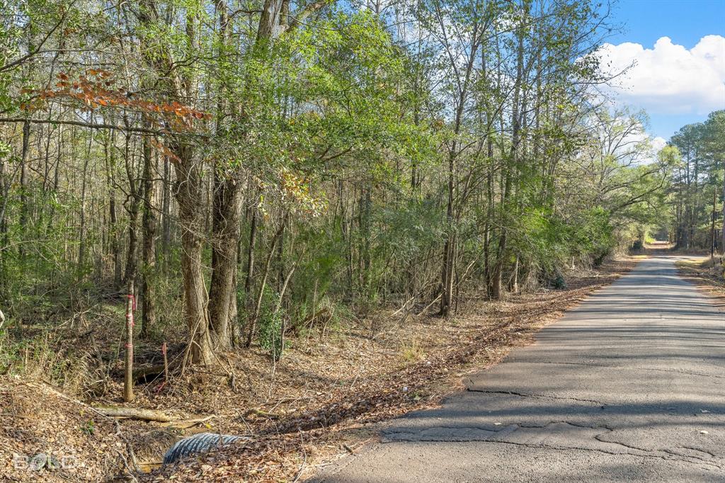 Lot 10 Mockingbird Lane Property Photo 6