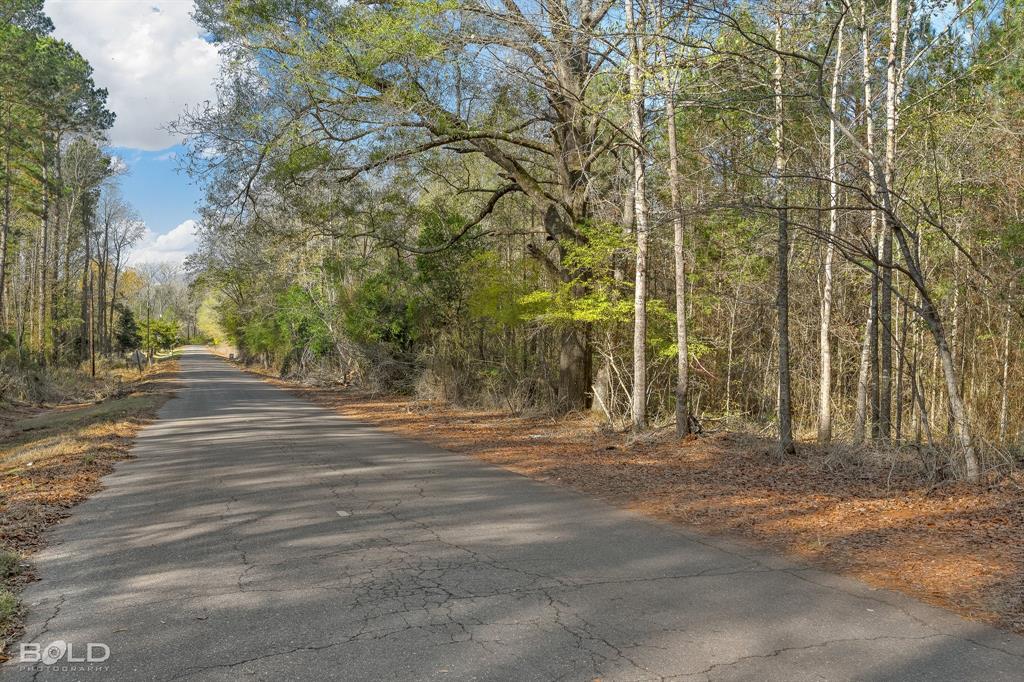 Lot 14 Mockingbird Lane Property Photo 1