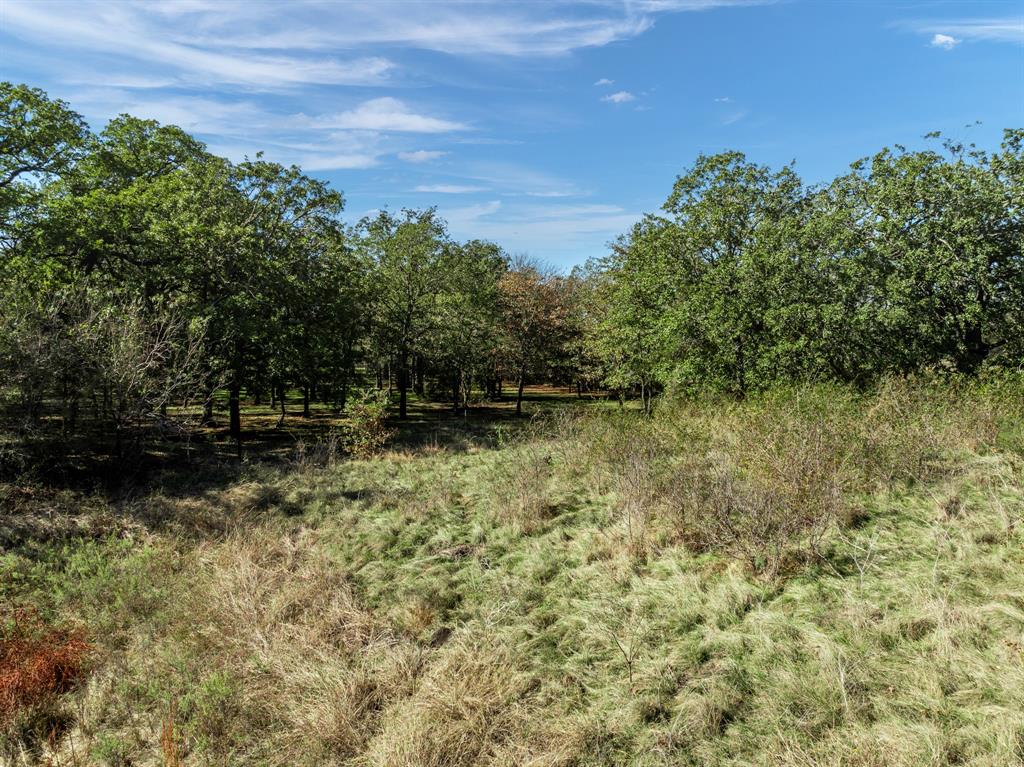 2159 Old Mart Lake Road Property Photo 13