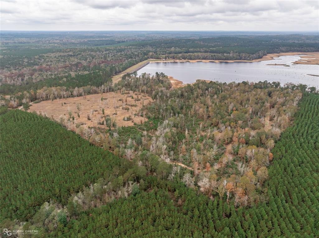 452 Kepler Dam Rd Property Photo 14
