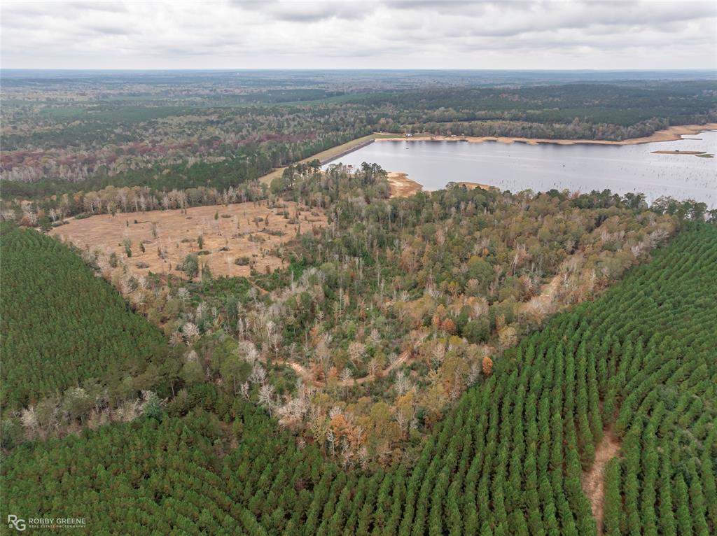 452 Kepler Dam Rd Property Photo 15
