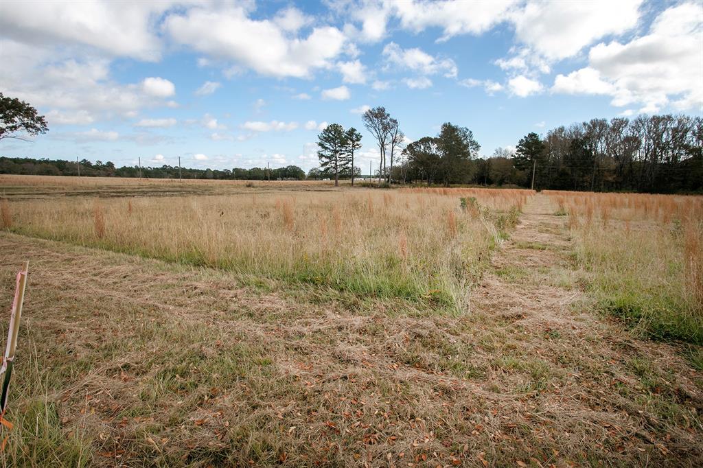 Lt 6 0 Tbd Fm 1892 Property Photo 5