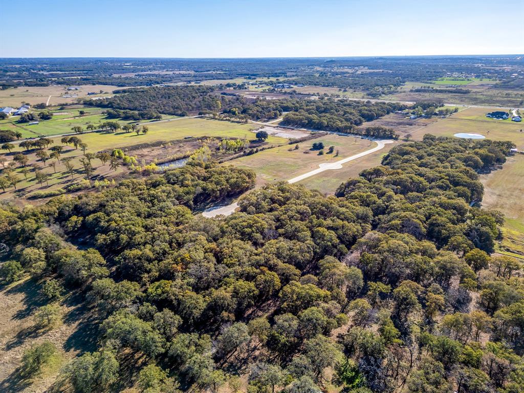 10113 Belle Oak Court Property Photo 22