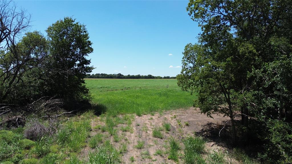 Tbd Cr 3140 Property Photo 4