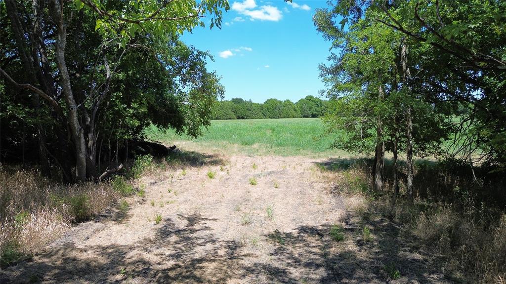Tbd Cr 3140 Property Photo 7