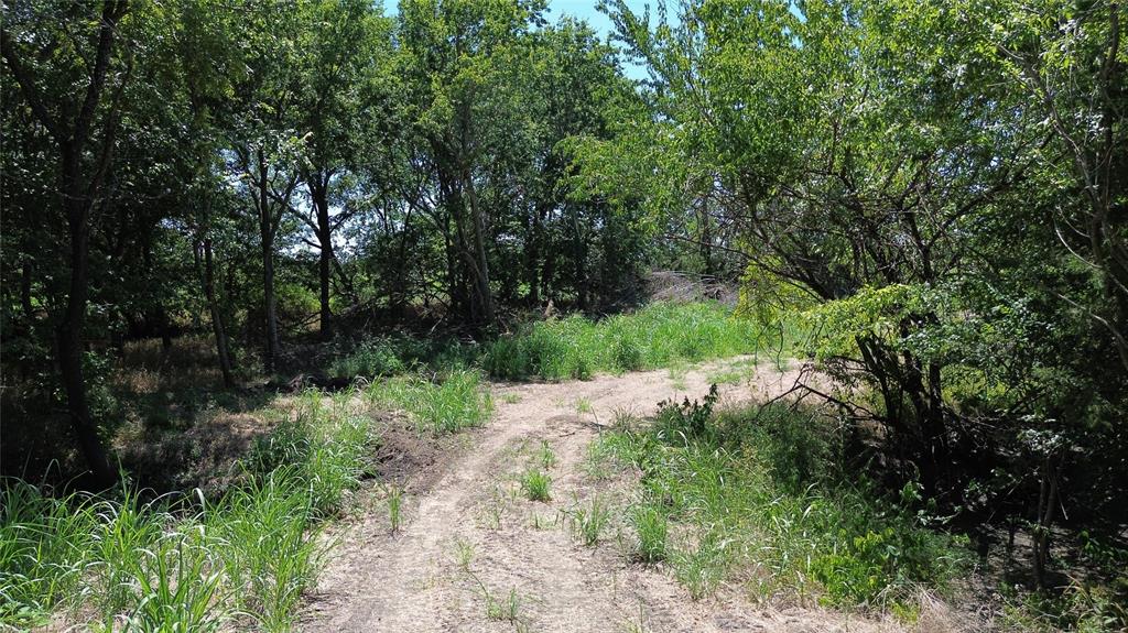 Tbd Cr 3140 Property Photo 9