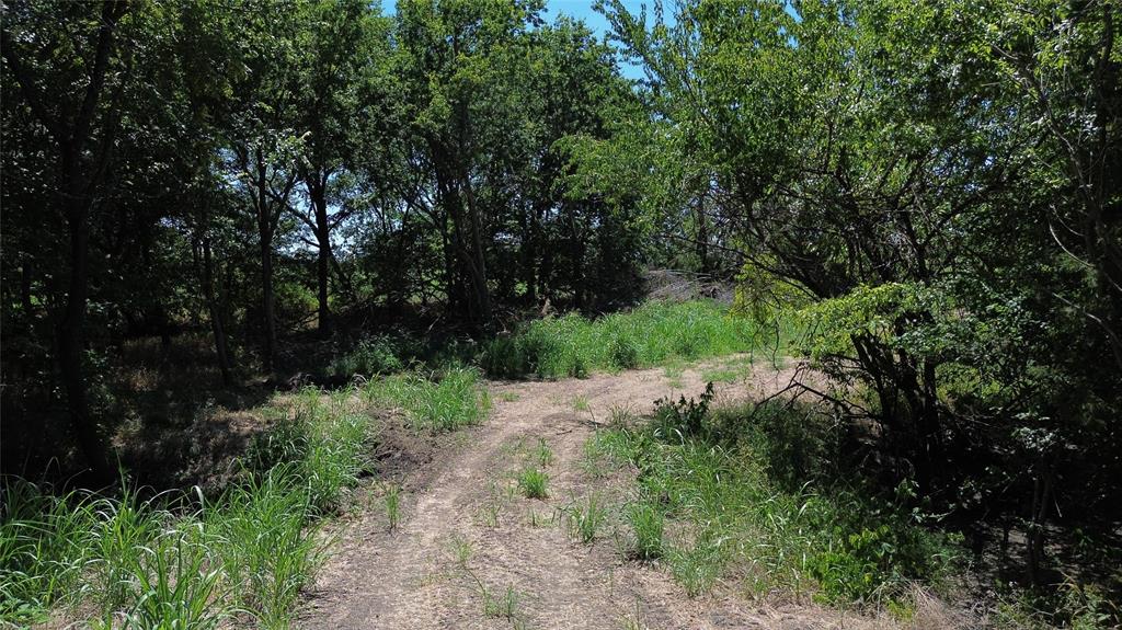 Tbd Cr 3140 Property Photo 12