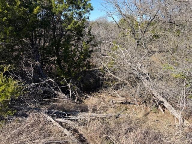 2045 Canyon Wren Loop Property Photo 9