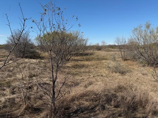 2045 Canyon Wren Loop Property Photo 11