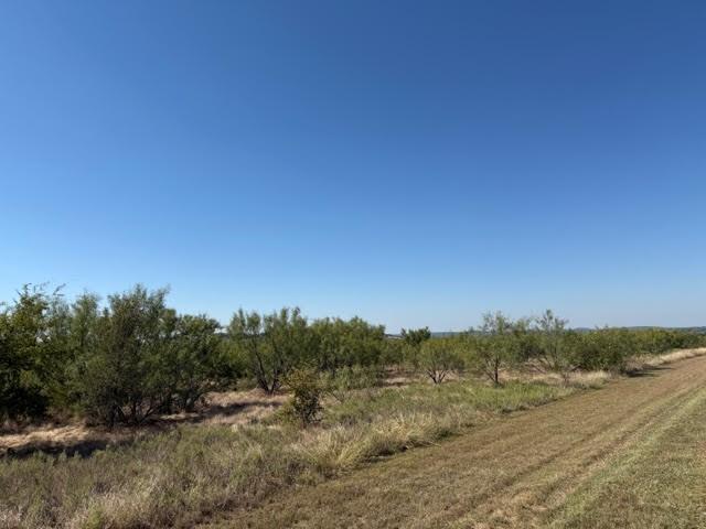 2045 Canyon Wren Loop Property Photo 15