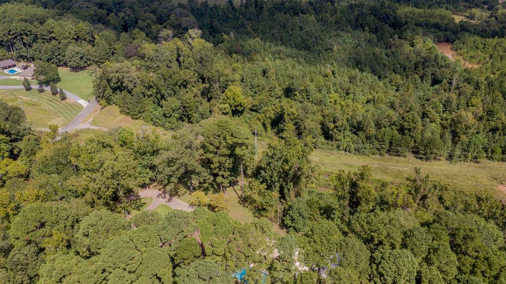 3611 Eliga Property Photo 6