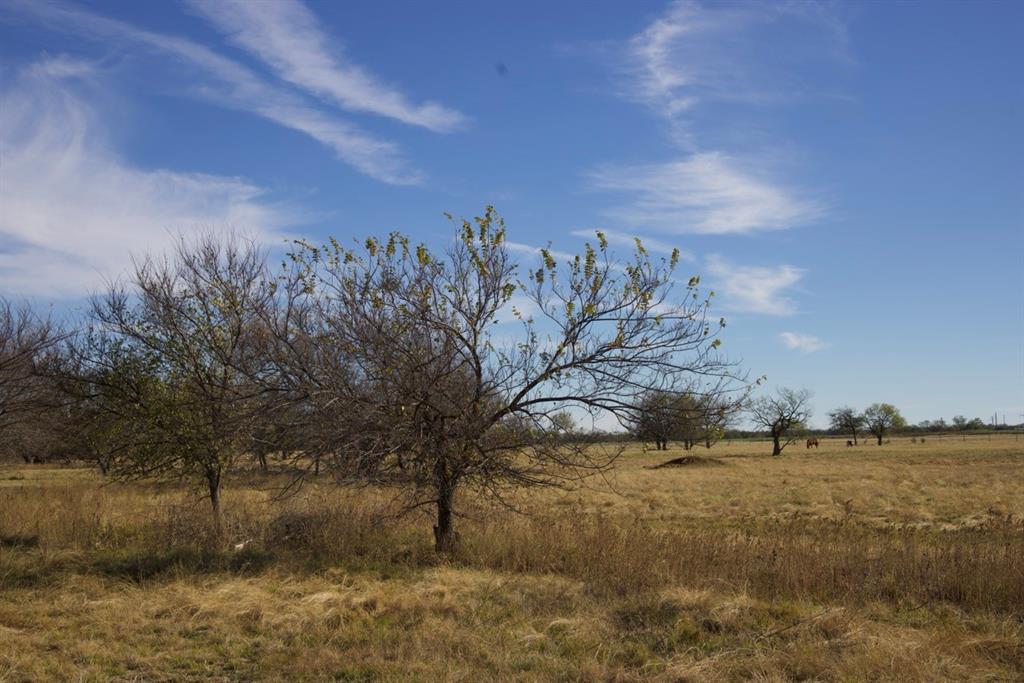 6172 Fm 1769 Property Photo 19