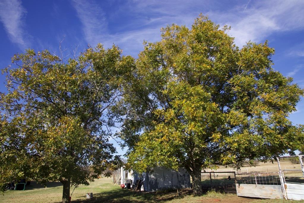6172 Fm 1769 Property Photo 31