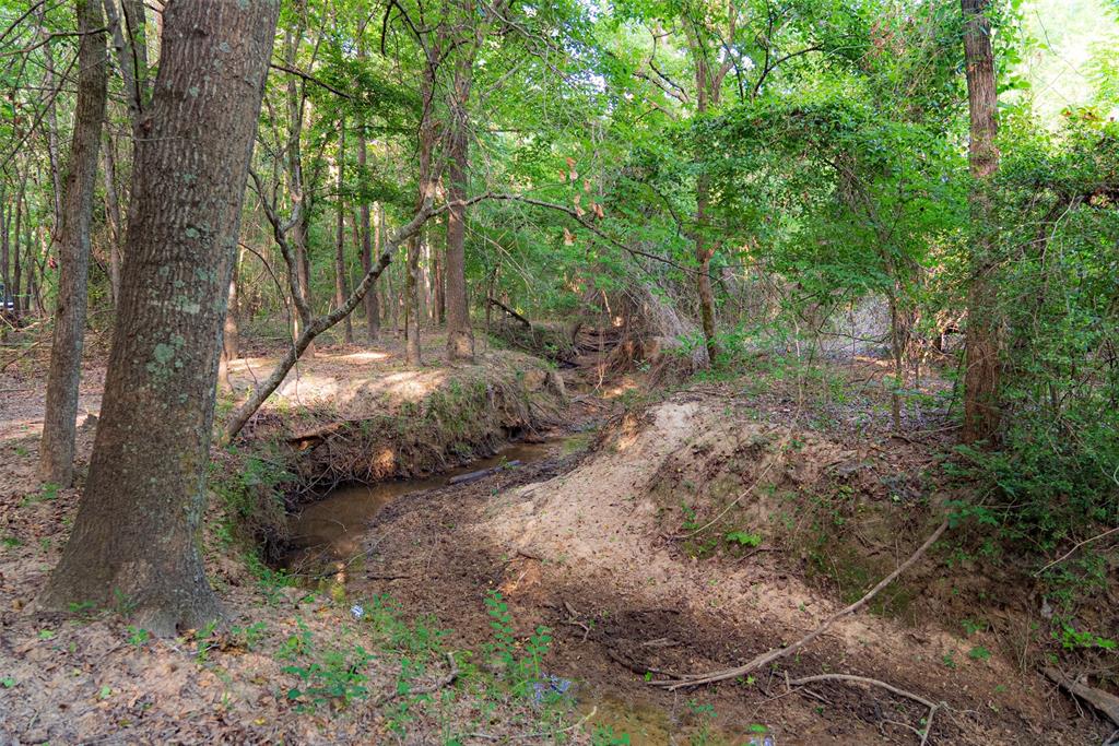 13612 County Road 3900 Property Photo 4