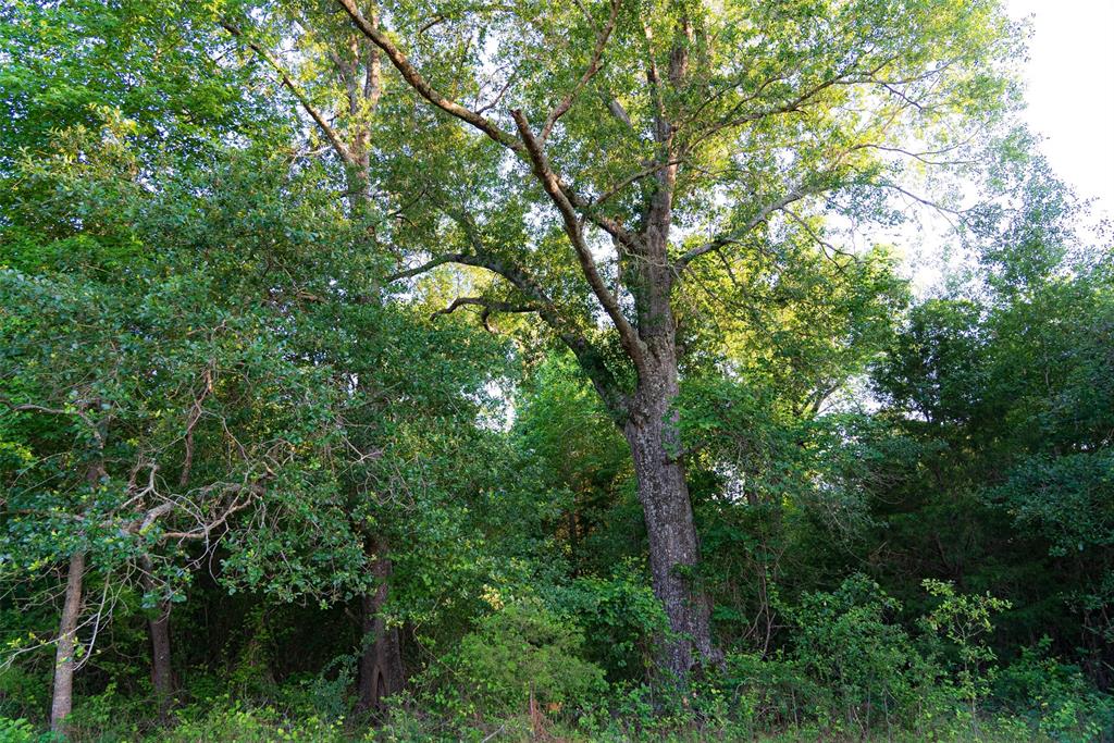 13612 County Road 3900 Property Photo 39