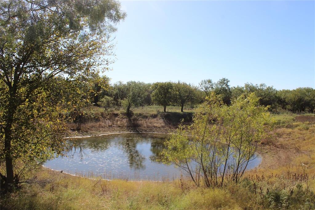 Tbd County Road 154 Property Photo 10