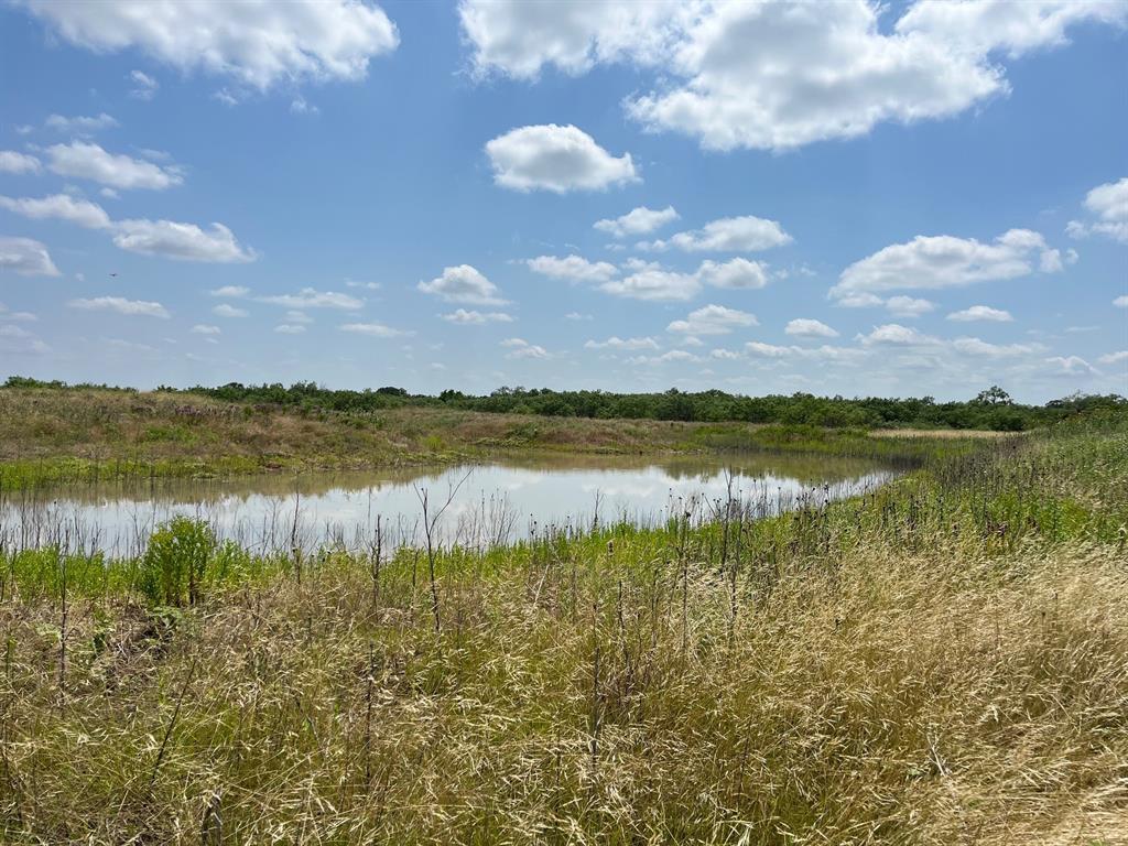 Tbd County Road 154 Property Photo 21