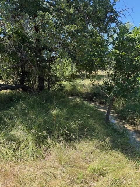 Tbd County Road 154 Property Photo 37