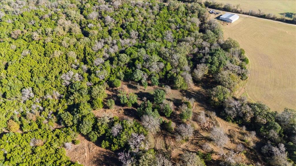 Tbd Fm-1304 Property Photo 7